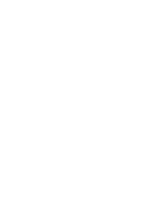 Top Tree